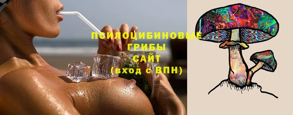 альфа пвп Медвежьегорск